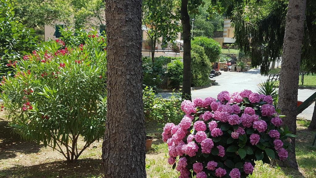 Hotel La Pineta โกโกเลโต ภายนอก รูปภาพ